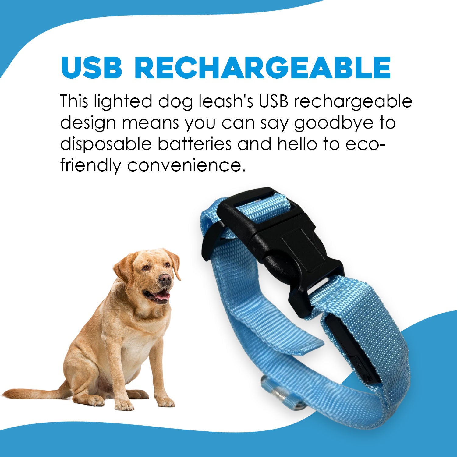 Dr. SwagFit LED Light Up Dog Leash, USB Rechargeable And Waterproof Leash, High Visibility, Small Size Illuminated for Night Walking, Glow in The Dark Light Up Dog Collar